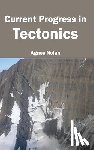  - Current Progress in Tectonics