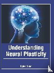  - Understanding Neural Plasticity