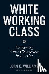 Williams, Joan C. - White Working Class