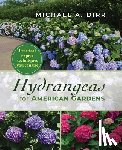 Dirr, Michael A - Hydrangeas for American Gardens