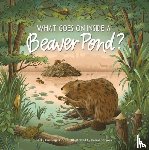 Cushing, Becky, Gop - What Goes on inside a Beaver Pond?