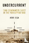 Bega, Amir - Undercurrent
