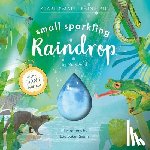 Auld, Mary - Small Sparkling Raindrop (Start Small, Think Big #5)