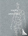  - Antony Gormley: Survey