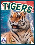 Geister-Jones, Sophie - Tigers