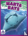 Lim, Angela - Manta Rays