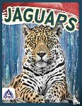 Geister-Jones, Sophie - Jaguars