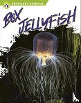 Stratton, Connor - Box Jellyfish