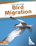 Breach, Jen - Bird Migration
