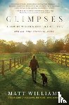 Williams, Matt - Glimpses