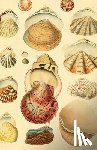 Bushel & Peck Books - Beachcomber (Blank Lined Journal)