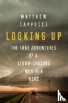 Cappucci, Matthew - Looking Up