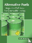  - Alternative Fuels: Integration Pathways for Renewable Energy