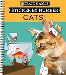 Publications International Ltd, New Seasons, Brain Games - Publications International Ltd: Brain Games - Sticker by Num