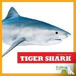 Gleisner, Jenna Lee - Tiger Shark