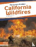 Gagliardi, Sue - California Wildfires
