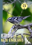 Adams, Zach - Birds of New England