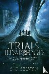 Selvyn, S. C. - The Trials of Ildarwood