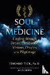 Tick, Edward - Soul Medicine