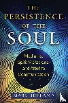 Ireland, Mark - The Persistence of the Soul