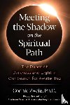 Zweig, Connie - Meeting the Shadow on the Spiritual Path