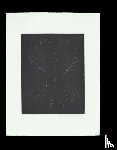 Shakespeare, William, Ofili, Chris - William Shakespeare × Chris Ofili: Othello