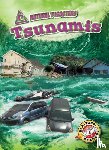 Rathburn, Betsy - Tsunamis