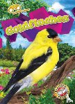 Neuenfeldt, Elizabeth - Goldfinches