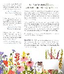 Hegde, Sushma - Wildflower Watercolor