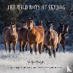 Staples, Clare - The Wild Boys of Skydog
