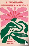 Llansol, Maria Gabriela - Diaries