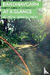 Yadav, Atharavraj - Bandhavgarh at a Glance