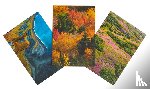 Insight Editions - Refuge Sewn Notebook Collection