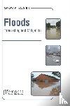  - Floods: Forecasting and Mitigation - Forecasting and Mitigation