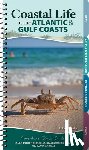 Zambello, Erika - Coastal Life of the Atlantic and Gulf Coasts
