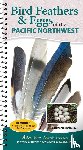 Panlasigui, Stephanie - Bird Feathers & Eggs of the Pacific Northwest