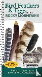 Panlasigui, Stephanie - Bird Feathers & Eggs of the Rocky Mountains