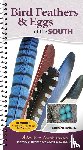 Panlasigui, Stephanie - Bird Feathers & Eggs of the South