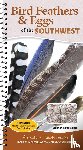 Panlasigui, Stephanie - Bird Feathers & Eggs of the Southwest