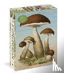 Derian, John - John Derian Paper Goods: Mushrooms 1,000-Piece Puzzle