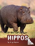 Jaycox, Jaclyn - Hippos