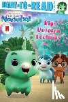 Testa, Maggie - Big Unicorn Feelings: Ready-To-Read Pre-Level 1