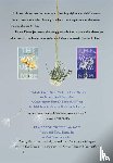 Smith, Amber - The Way I Used to Be Paperback Collection (Boxed Set)