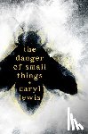 Lewis, Caryl - The Danger of Small Things