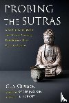 Gibbon, Guy - Probing the Sutras