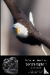 Friedman, Gary L - The Friedman Archives Guide to Sony's Alpha 1 (B&W Edition)