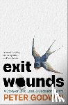 Godwin, Peter - Exit Wounds: A Story of Love, Loss, and Occasional Wars