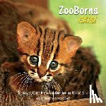 Bleiman, Andrew - ZooBorns Cats!: The Newest, Cutest Kittens and Cubs from the World's Zoos