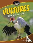 Feldstein, Stephanie - Vultures: Disposers of Death
