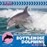 Loh-Hagan, Virginia - Bottlenose Dolphins in the Wild